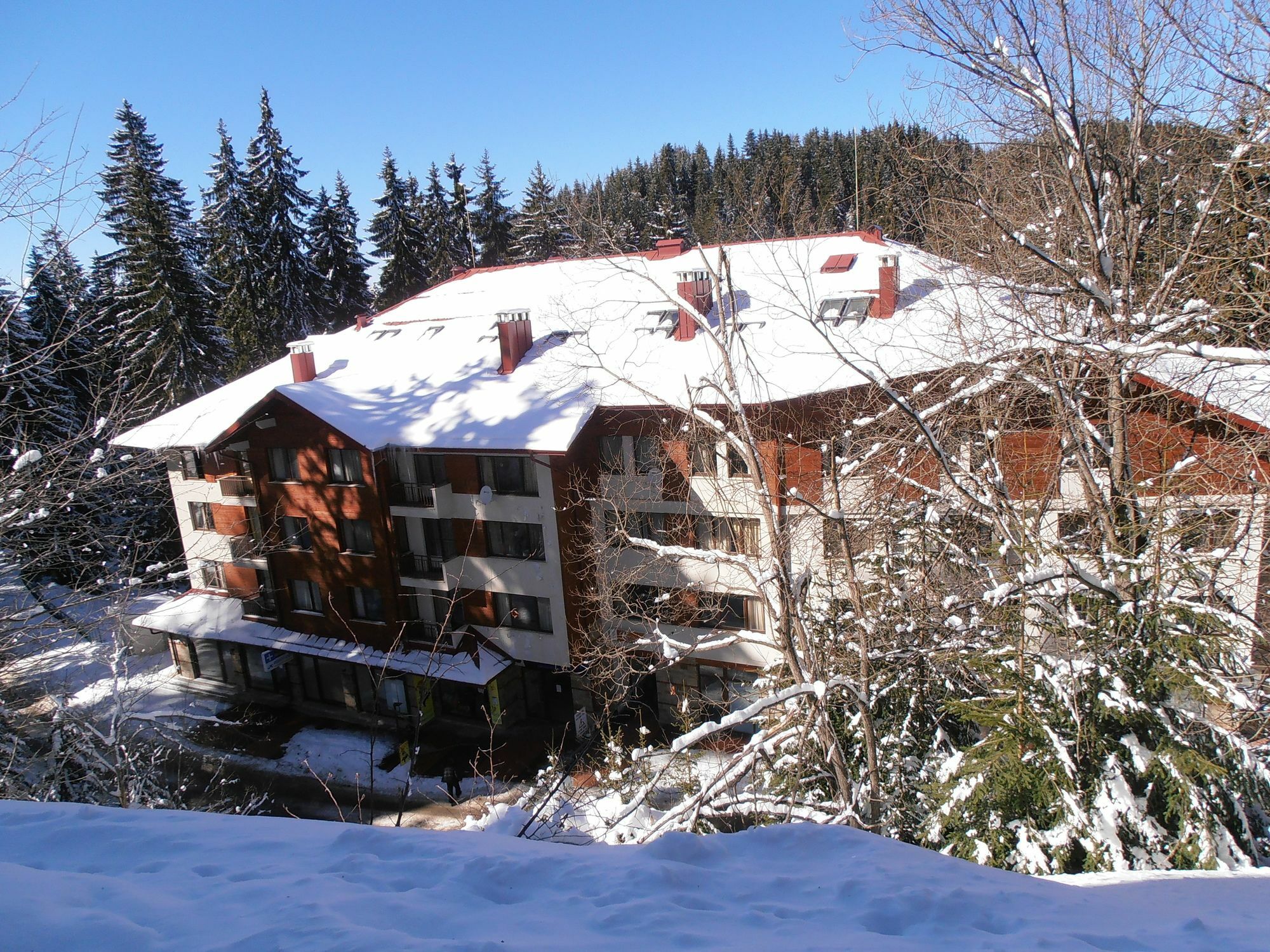 Royal House Apartments Tmf Pamporovo Dış mekan fotoğraf